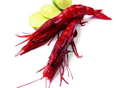 Marisco